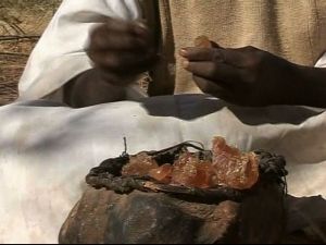Sudan Gum Arabic