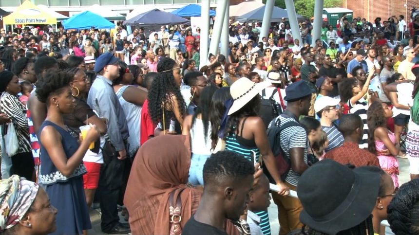 Fest Africa 2015 PKG