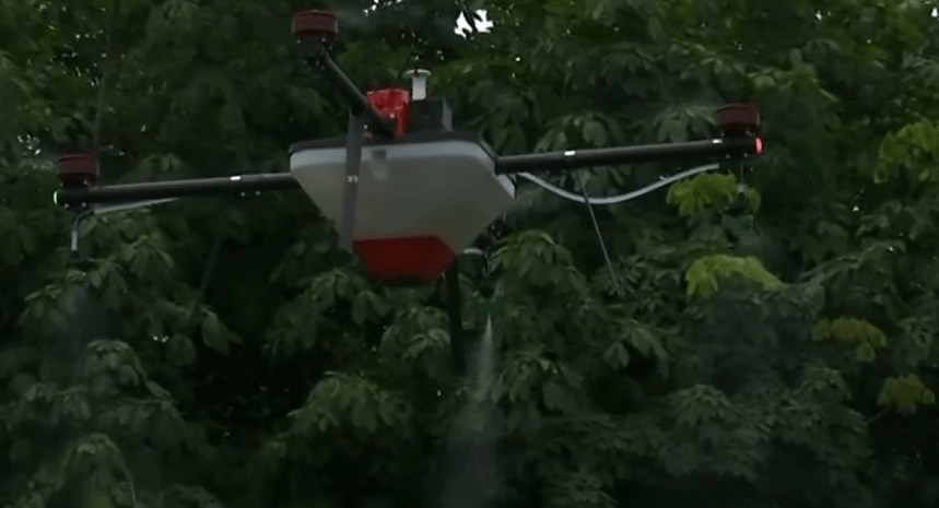 Screen Shot 2019-06-20 at 3.31.29 PM